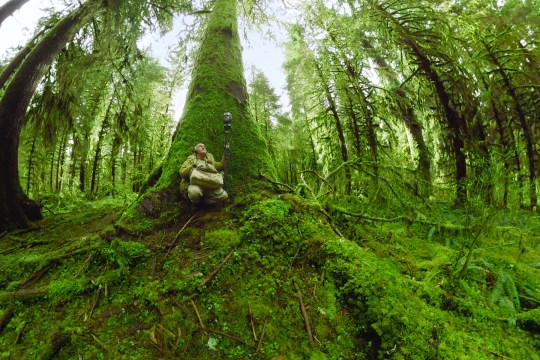 Sanctuaries of Silence