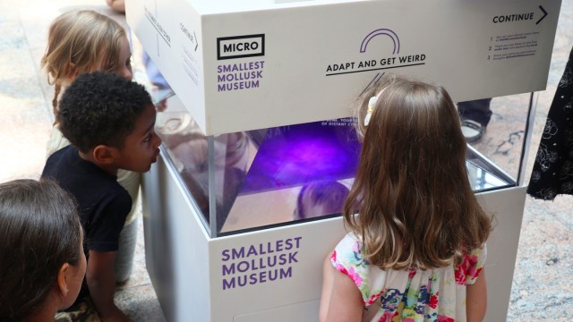 MICRO - 2019 Place by Design Winner - Photo Courtesy of MICRO