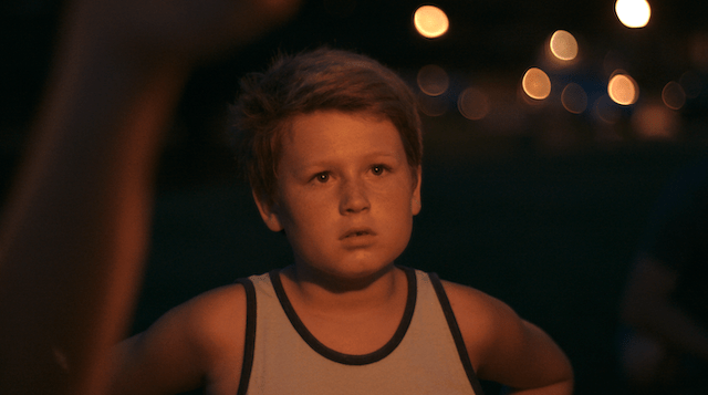 An Elephant in the Room - Photo by Adam Morris Philp