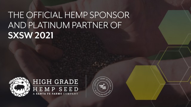 High Grade Hemp Seed
