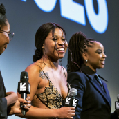 "Swarm" Q&A - Photo by Tim Strauss