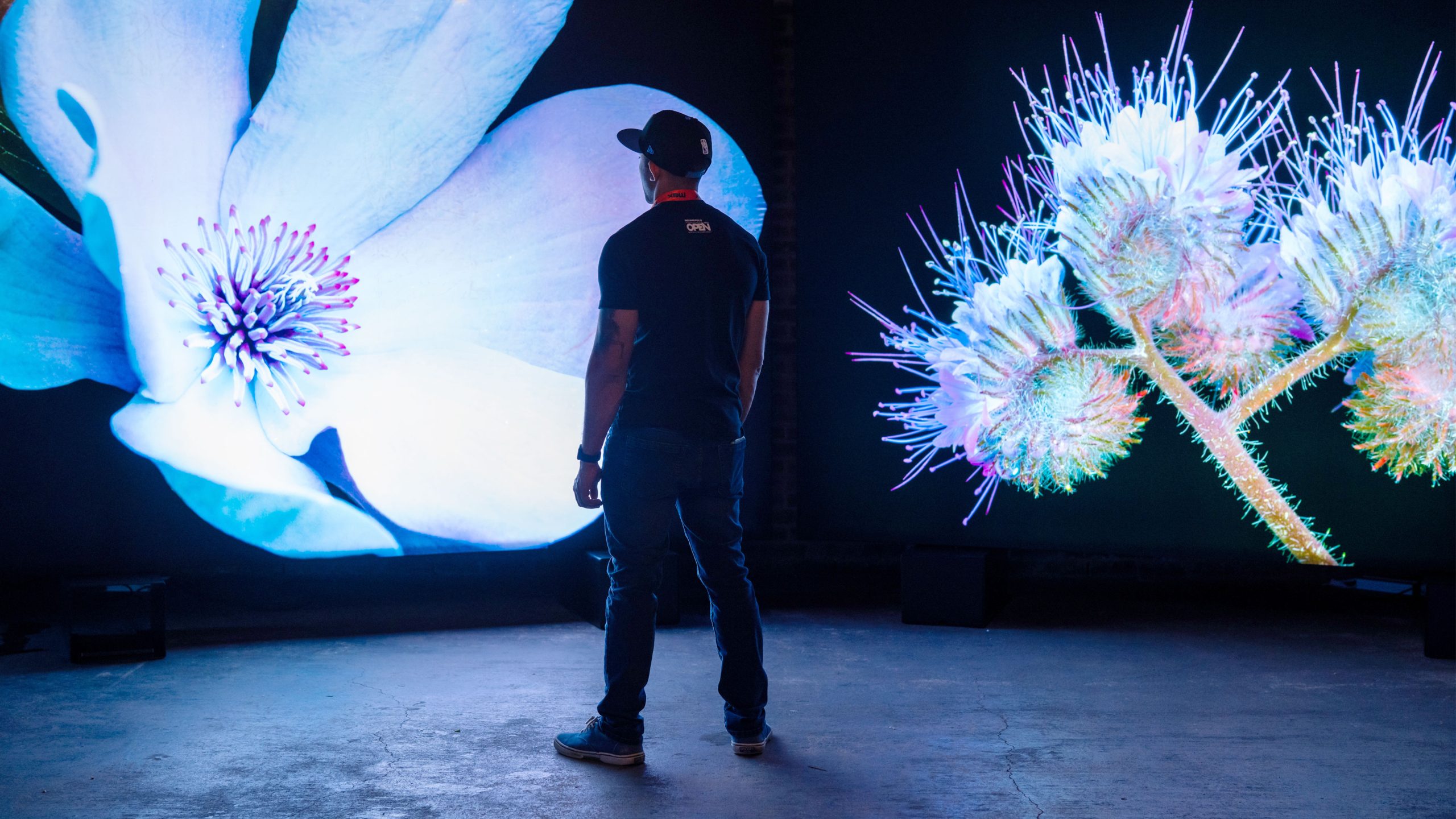 The Seduction of the Honeybee – Photo by Tico Mendoza