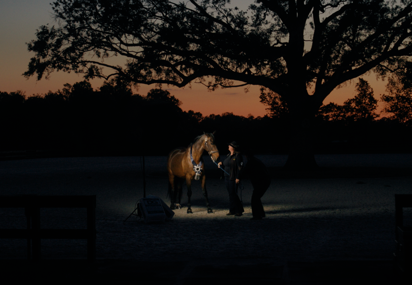 Air Horse One – DOCUMENTARY SHORT COMPETITION – 2026 SXSW Film & TV Festival