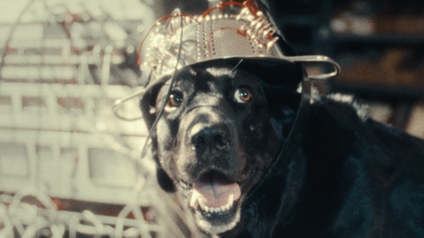 The Seeing Eye Dog Who Saw Too Much – MIDNIGHT SHORT COMPETITION – 2026 SXSW Film & TV Festival